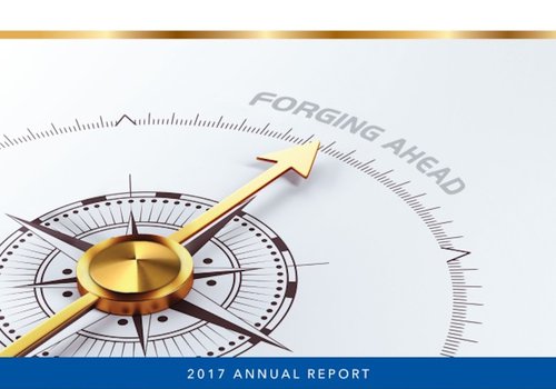 2017 Annual Report Cover.jpg